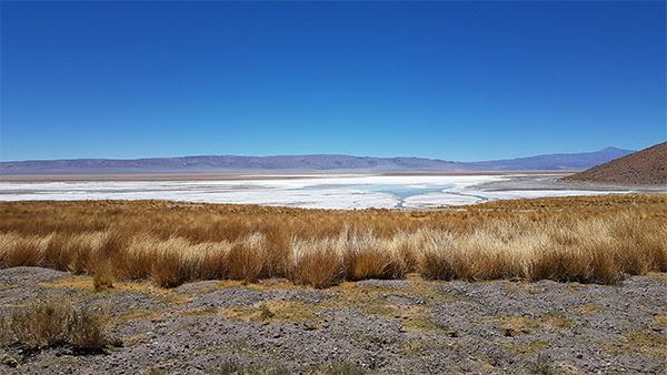 Argentina Lithium acelerará exploraciones en Salta y Catamarca